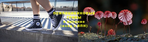 героин Алексин