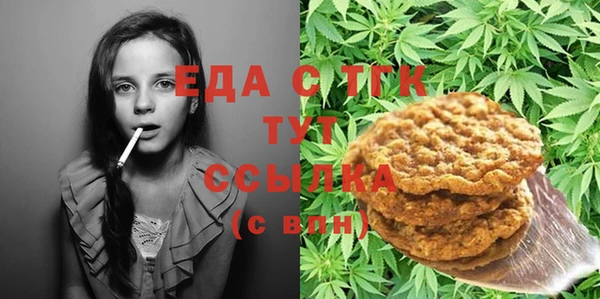 мдпв Каменка