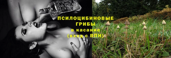 прущие крисы Алексеевка