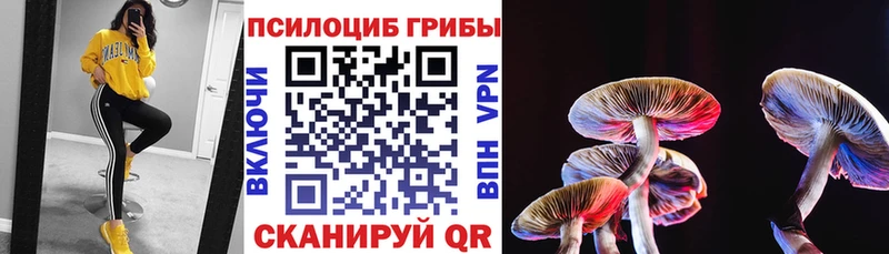 Галлюциногенные грибы MAGIC MUSHROOMS  как найти   Ейск 